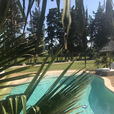 Mas Des Limites Bed & Breakfast Rognonas Bagian luar foto
